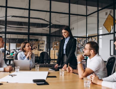 IT Consulting Project